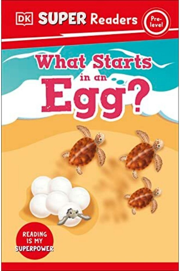 What Starts In An Egg