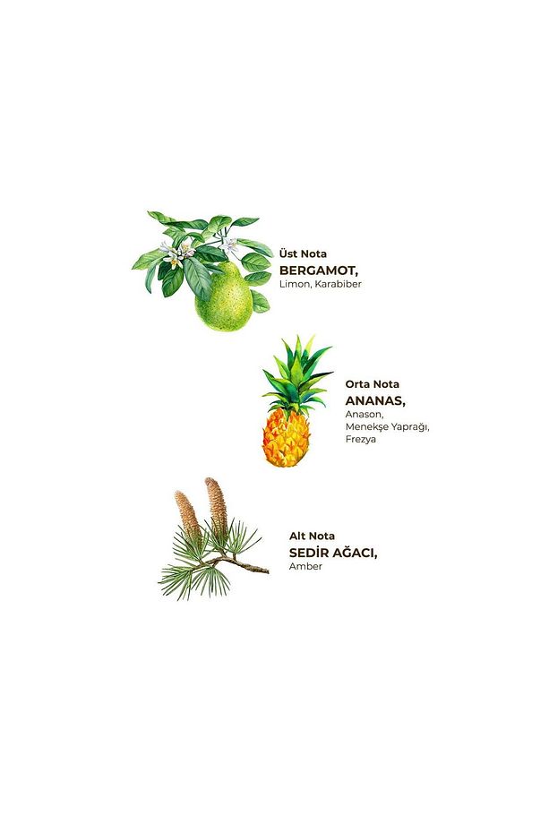 Okyanus Kolonyası 400 ml - Cam Şişe - 4
