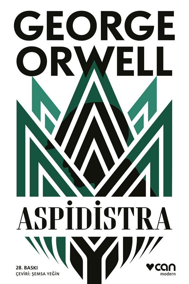 Aspidistra - 1