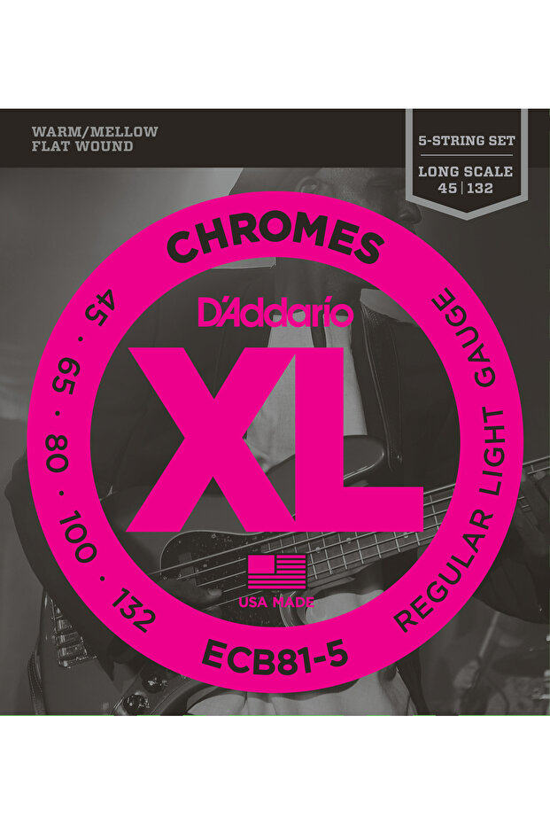 Ecb81 Bass Guitar String Set, Chrome, Regular Light Gauge (