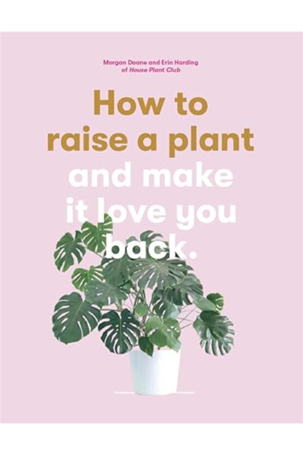 How To Raise A Plant