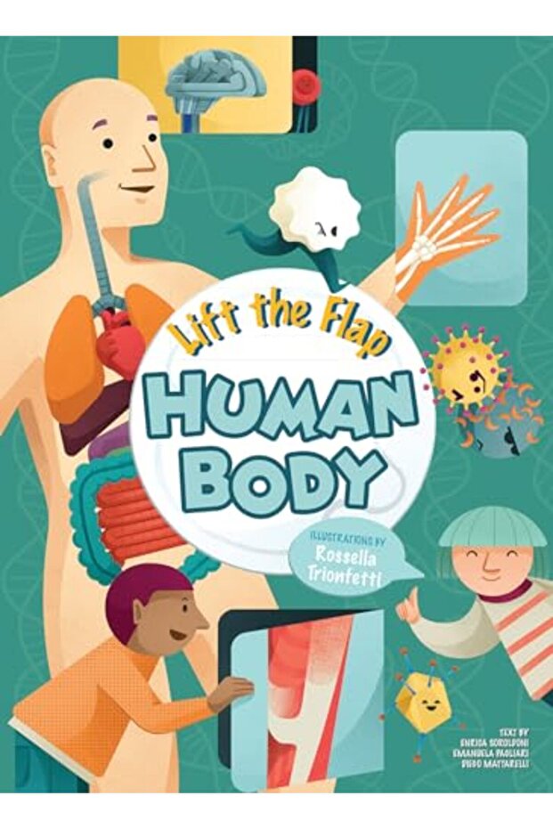 Lift The Flap Human Body