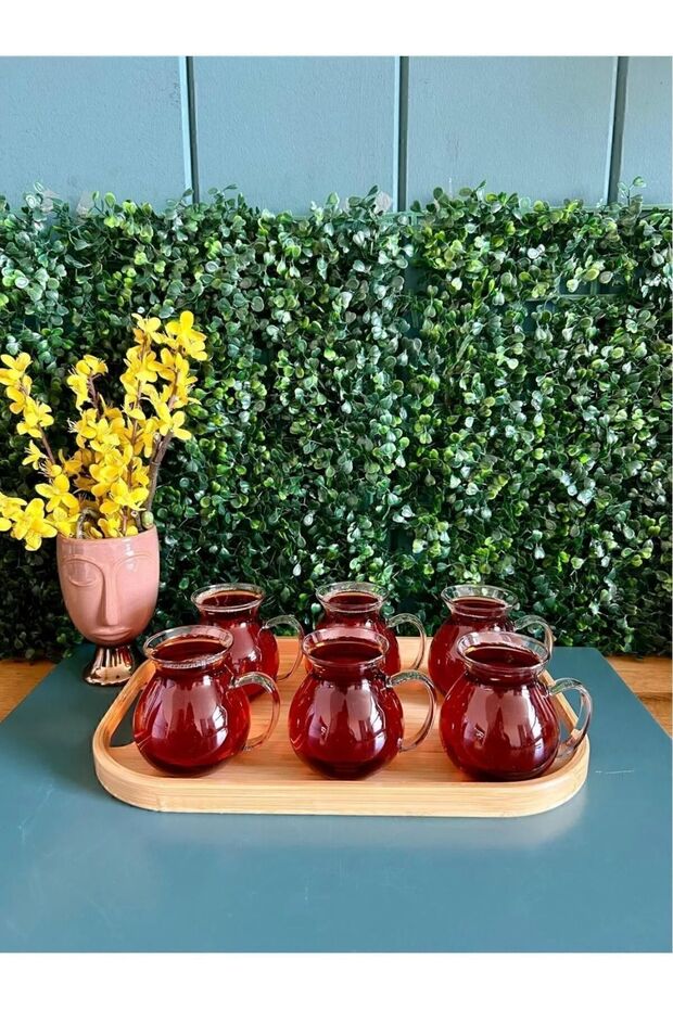 Ehlikeyif 6-Piece Heat Resistant Borosilicate Enjoyment Ala Glass Tea Cup