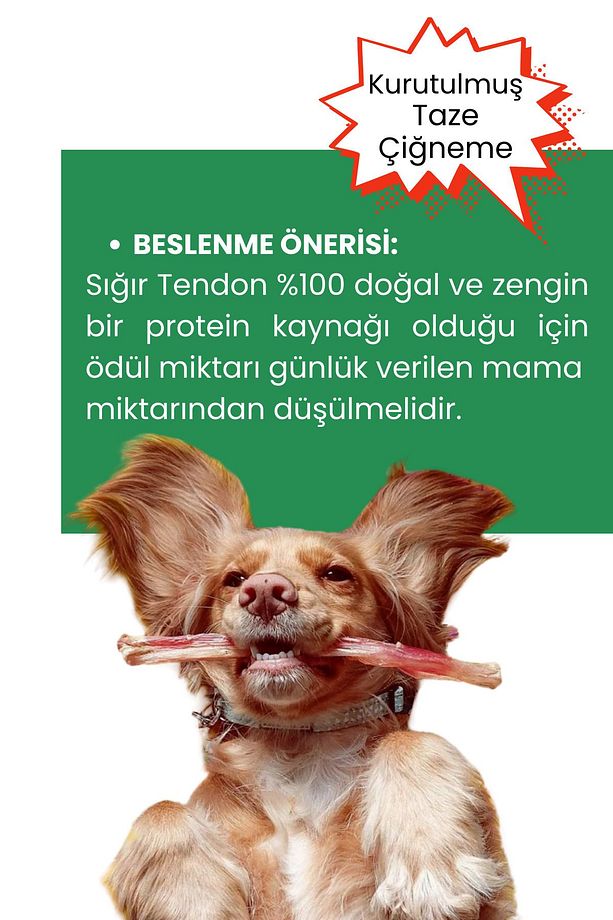 3 Adet Köpek Ödülü %100 Doğal Sığır Tendon Köpek Çiğneme Çubuğu Köpek Ağız Sağlığı - 4