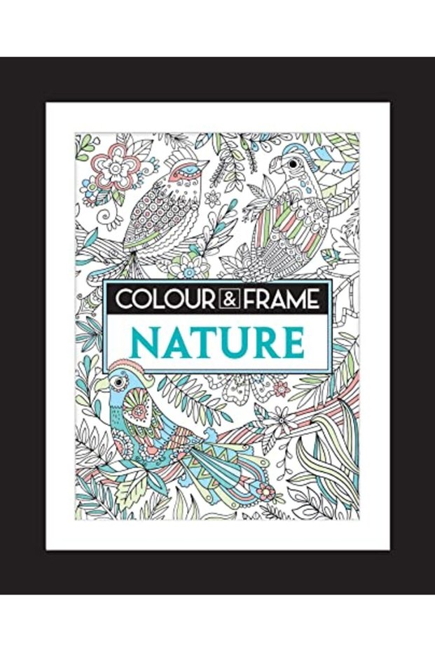 Colour And Frame Nature Colour & Frame