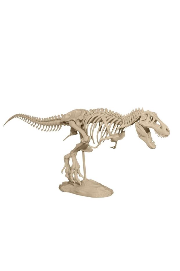 T-Rex Dinazor İskeleti Figür - 1