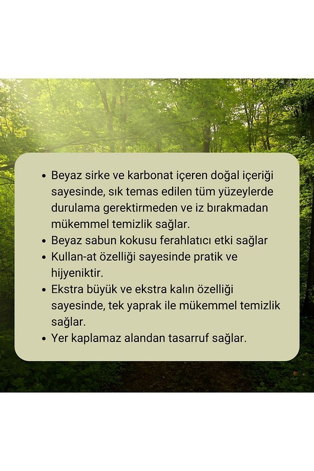 100 Adet - Yüzey Temizlik Havlusu - 1 Paket - Kullan At- Paraben - Sls Içermez- Organik - 4