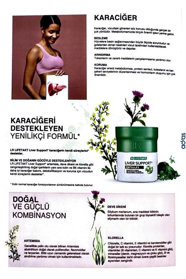 Liver Support Karaciğer Destek Kapsülleri - 4