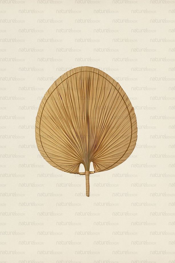 Bohem Palmiye Yaprağı, Japon Yelpazesi 55x70 Cm, Duvar Dekorasyon, Duvar Süsü, Iskandinav, Modern - 2