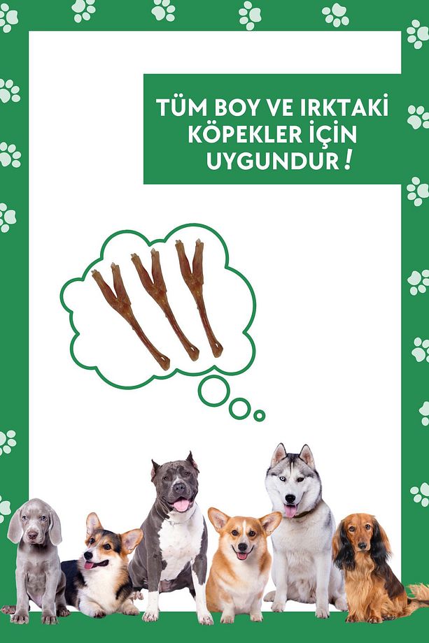3 Adet Köpek Ödülü %100 Doğal Sığır Tendon Köpek Çiğneme Çubuğu Köpek Ağız Sağlığı - 8