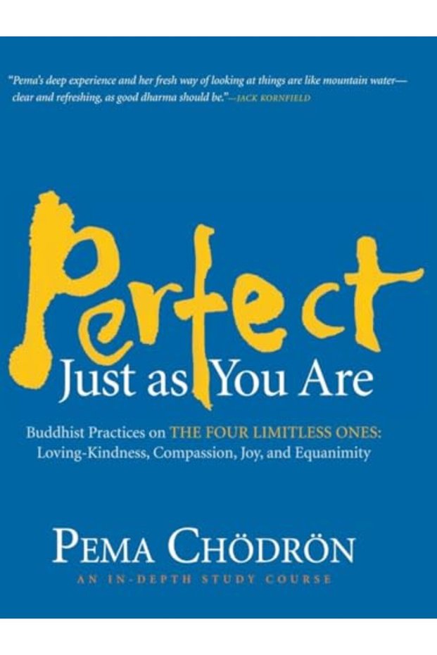 Perfect Just As You Are Buddhist Practices On The Four Limitless Oneslovingkindness Compassion