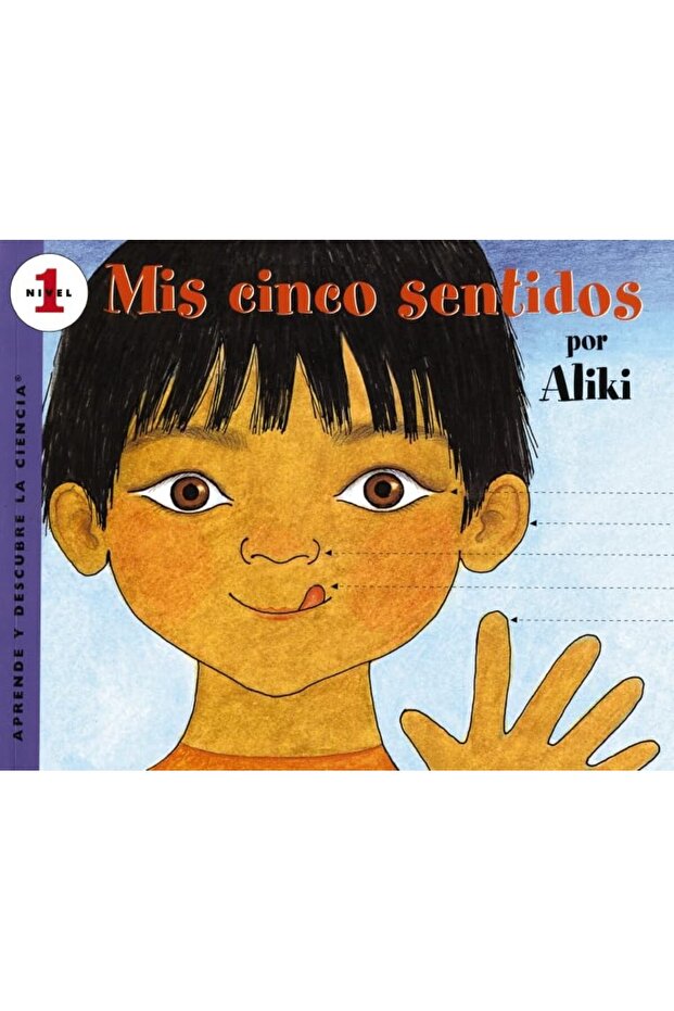 Mis Cinco Sentidos