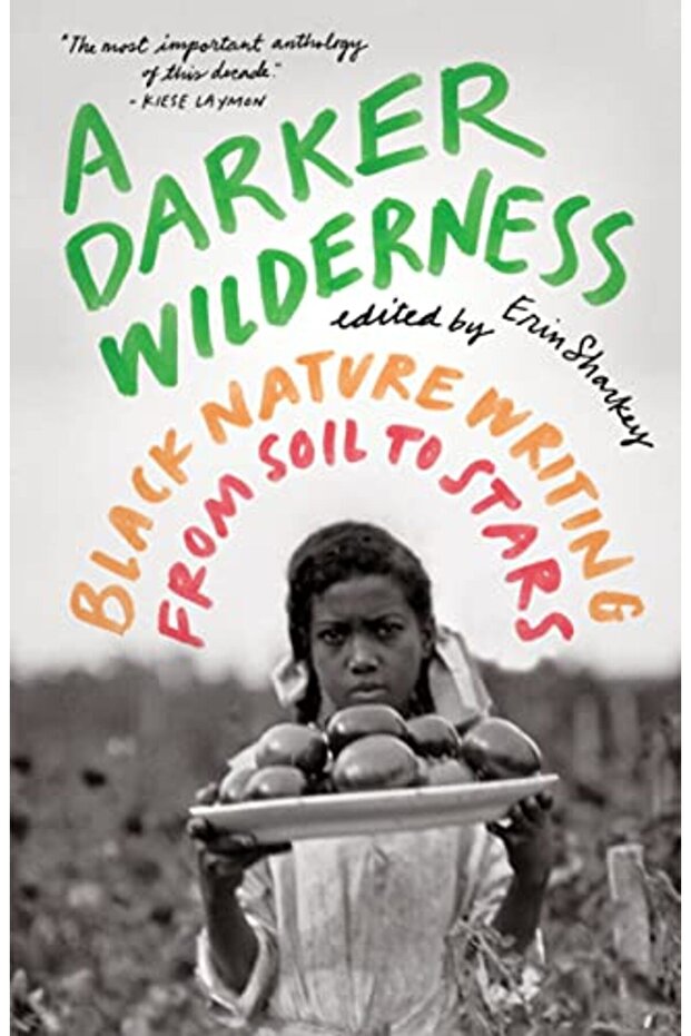 Darker Wilderness