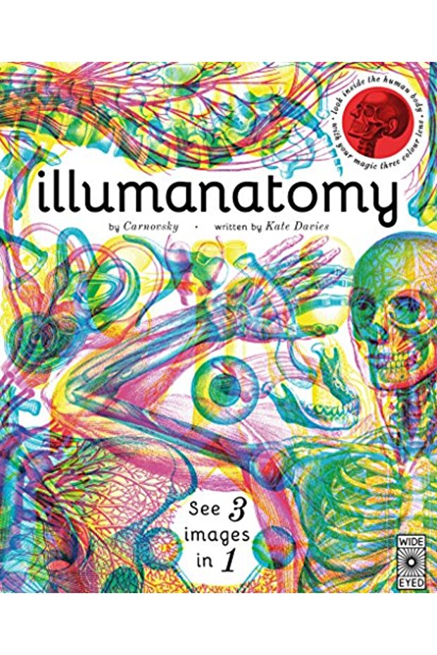 Illumanatomy