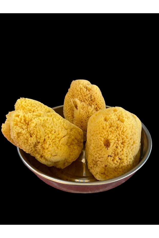 deniz süngeri  3 lü (orta boy) - 1