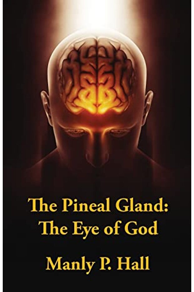 The Pineal Gland The Eye Of God