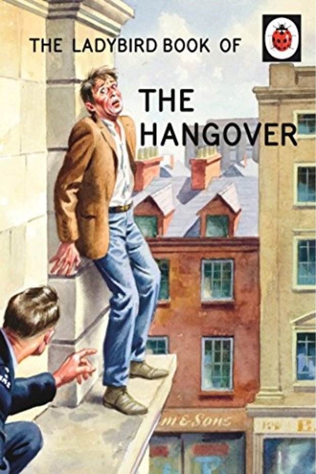 The Ladybird Book Of The Hangover Ladybirds For Grownups