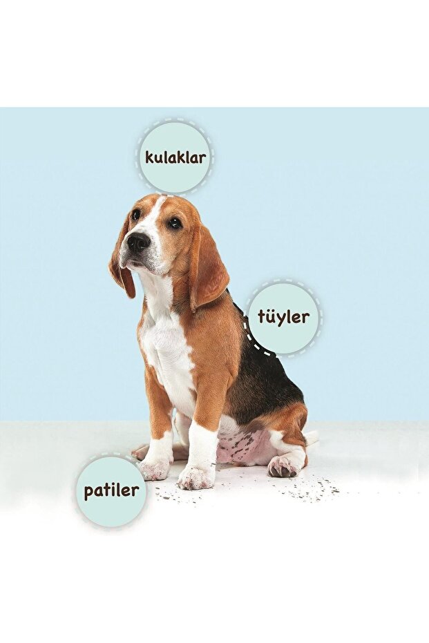 Be Active Pet Wipes Evcil Hayvanlar Için Temizlik Mendili 40 Yaprak - 6