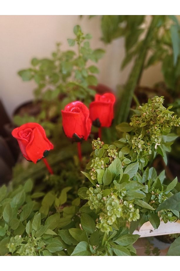 Sevgililer Günü Saksı Süsü Gül 3 Adet - 2