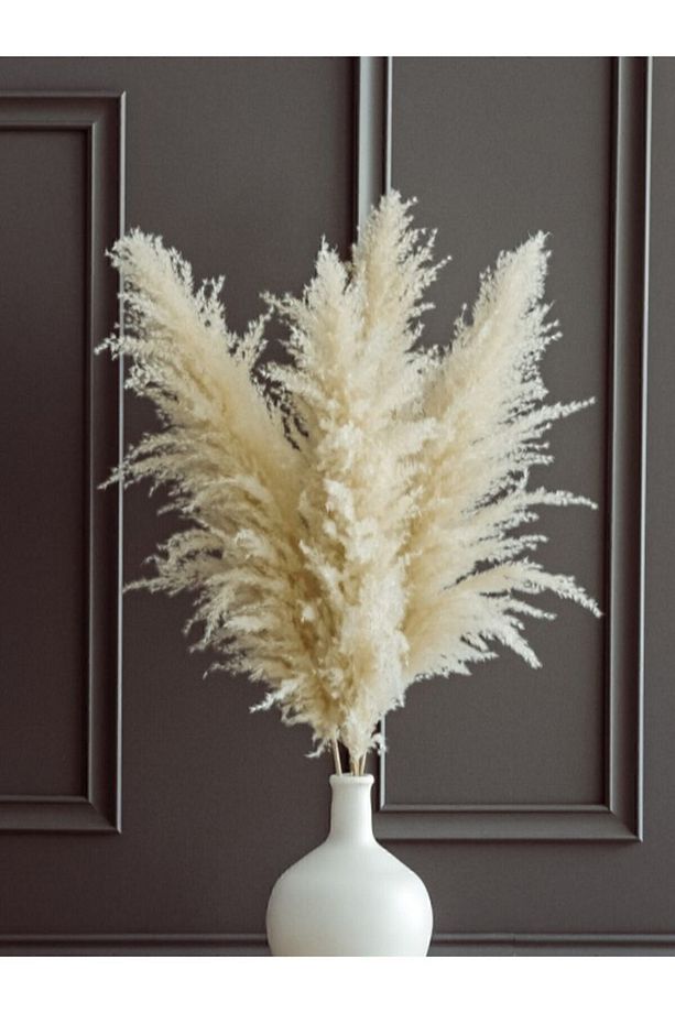 Şoklanmış Dolgun 4 Adet Pamuklu Pampas (FULFLY) - 1