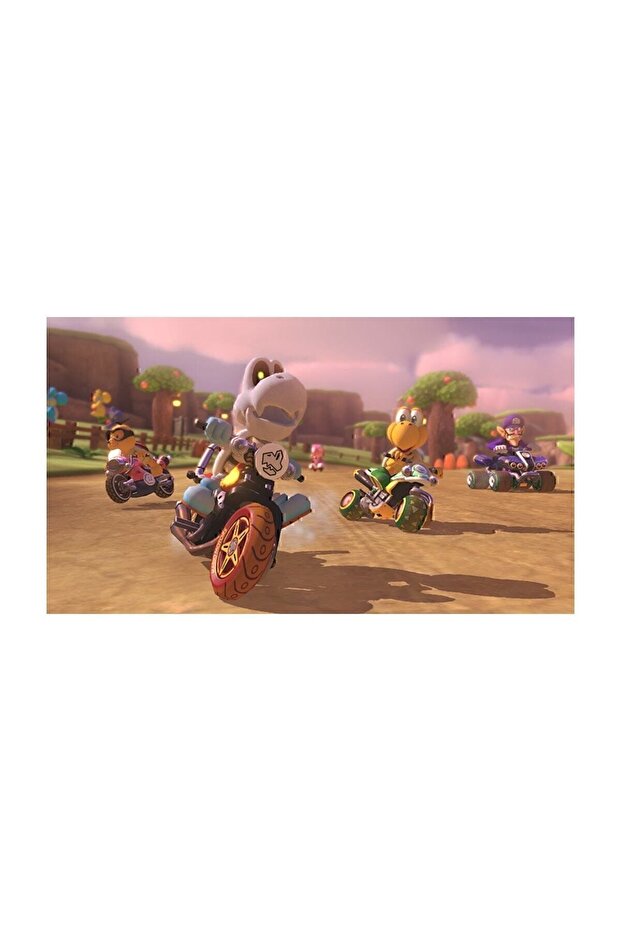 Switch Mario Kart 8 Deluxe Game - 8