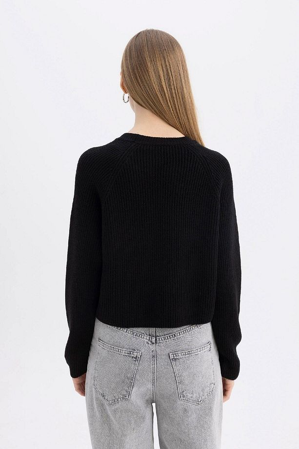 Coool Regular Fit Bisiklet Yaka Basic Düz Triko Kazak L2567az24wn - 6