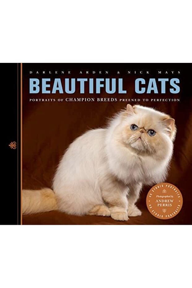 Beautiful Cats Portraits Of Champion Breeds Preened To Perfection