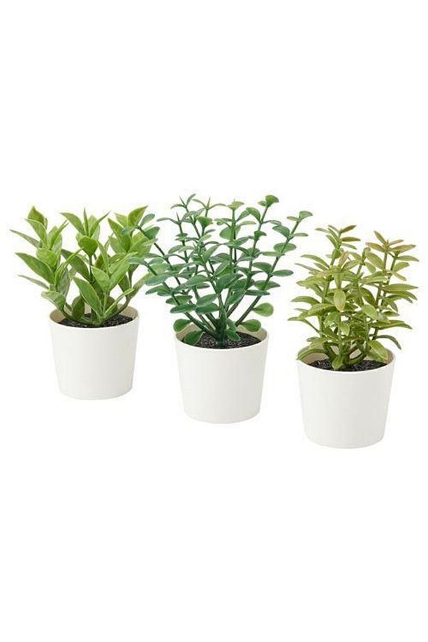 Saksılı Yapay Bitki 3 Lü , Yeşil 5 Cm Mini Çiçekler Yeşil Renk Dekorasyon - 1
