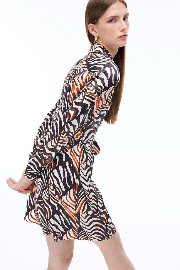 Suadade Regular Fit Zebra Desenli Mini Boy Çok Renkli Elbise - 3