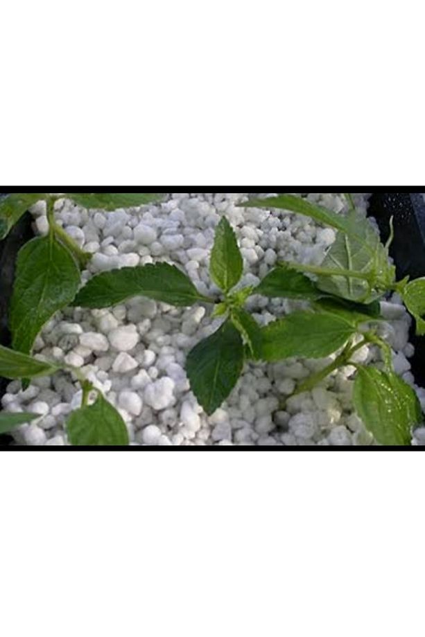 Tarım perliti 5 litre - 2