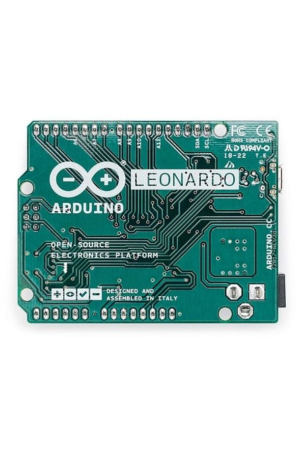 Leonardo - 2
