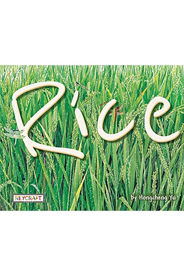 Rice - 1