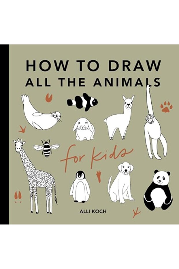 How To Draw All The Animals For Kids