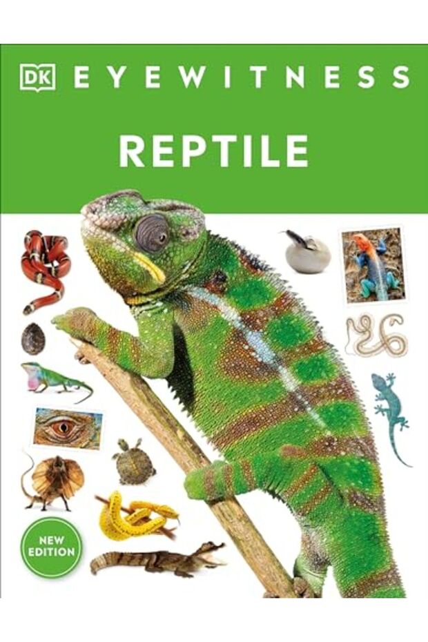 Eyewitness Reptile