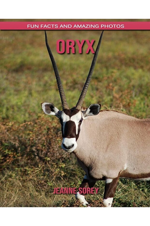 Oryx Fun Facts And Amazing Photos