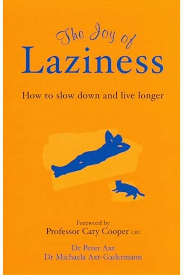 The Joy Of Laziness