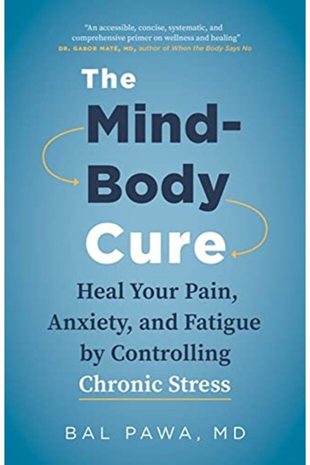 The Mindbody Cure Heal Your Pain Anxiety And Fatigue By Controlling Chronic Stress