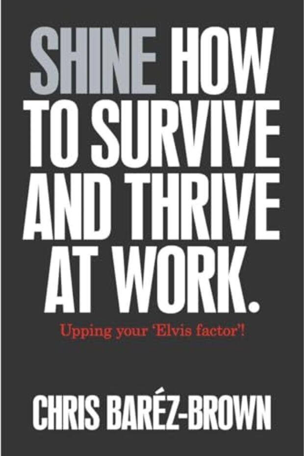 Shine How To Survive And Thrive At Work