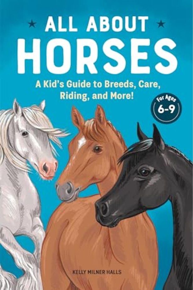 All About Horses A Kids Guide To Breeds Care Riding And More