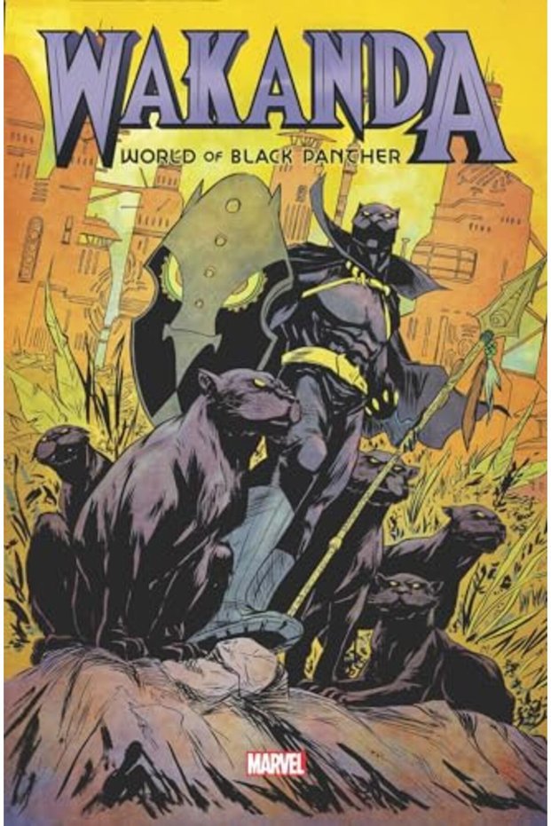 Wakanda World Of Black Panther