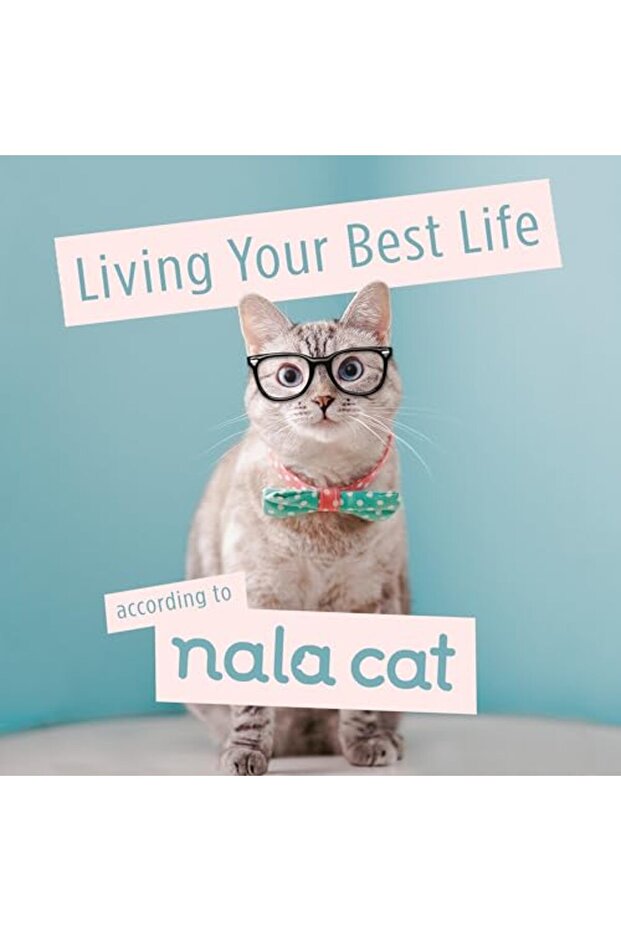 Living Your Best Life According To Nala Cat