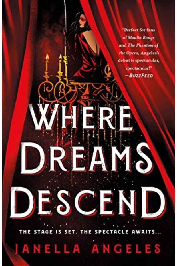 Where Dreams Descend A Novel