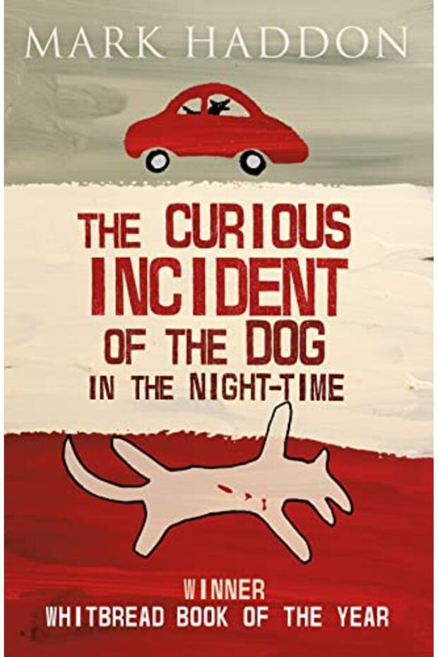 The Curious Incident Of The Dog In The Nighttime Vintage Childrens Classics