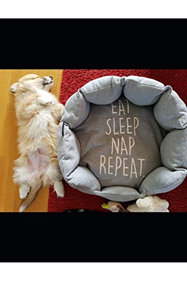 Eat Sleep Nap Repeat Corgi Composition Book; Notebook