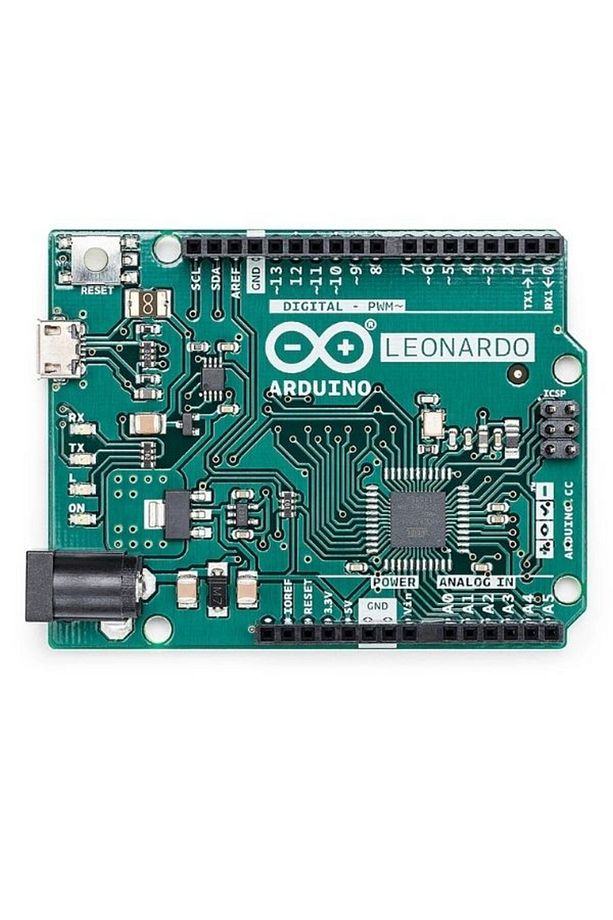 Leonardo - 1