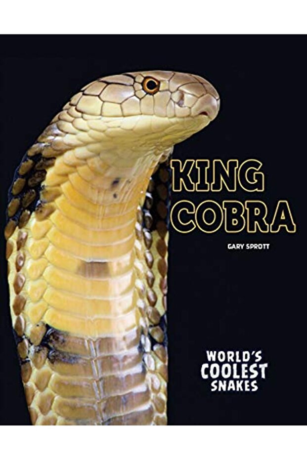 King Cobra