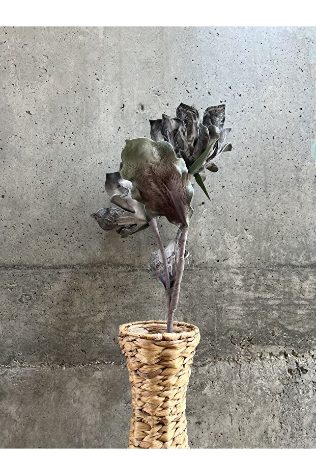 Gri Nane Çiçeği - 6