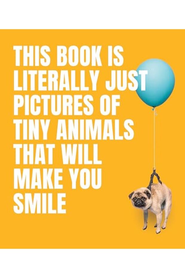 This Book Is Literally Just Pictures Of Tiny Animals That Will Make You Smile