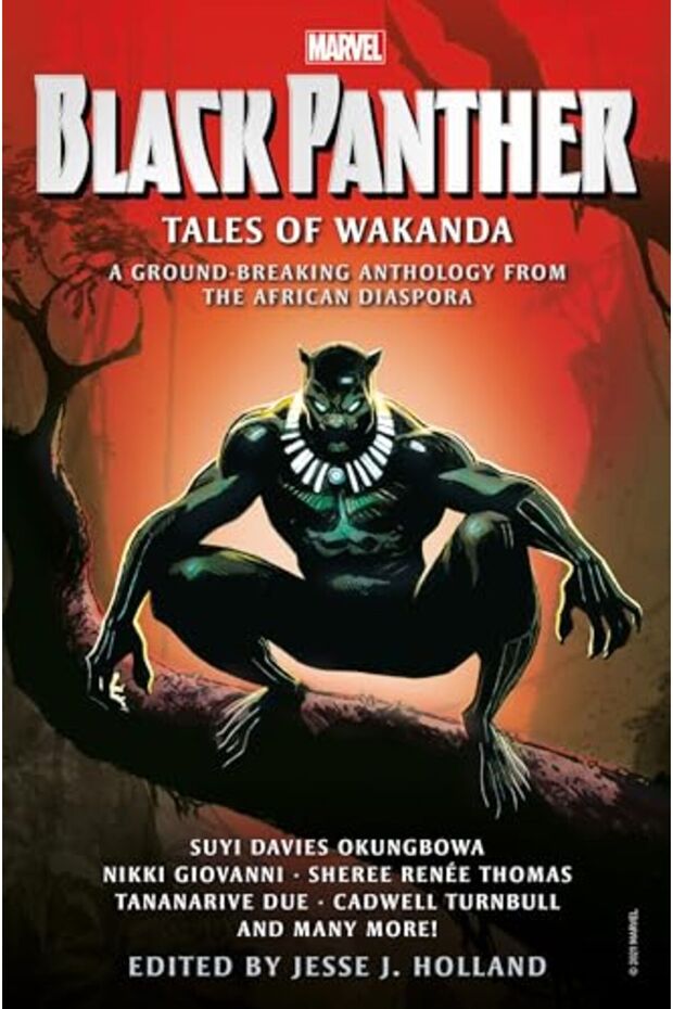 Black Panther Tales Of Wakanda