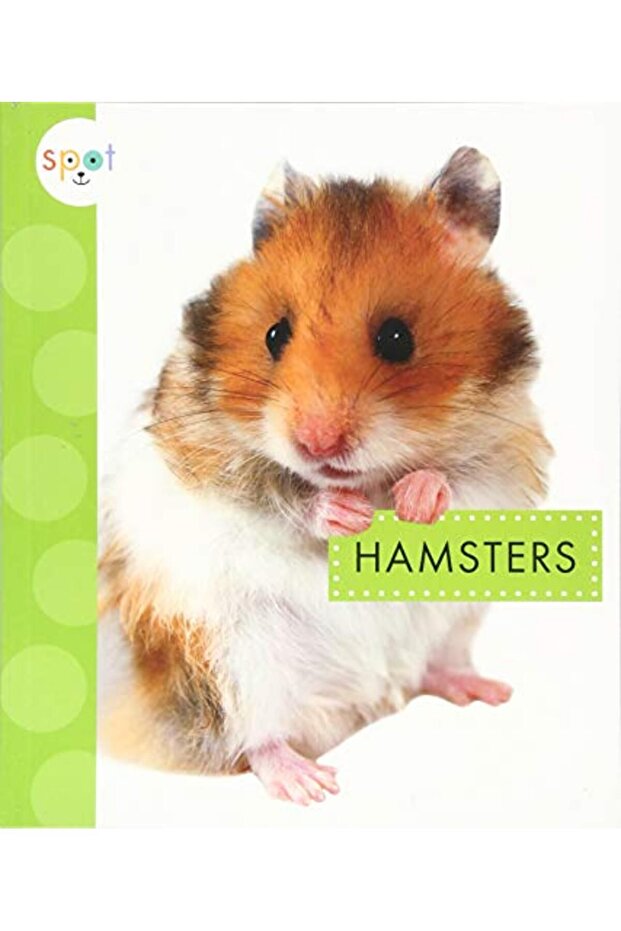 Hamsters - 1